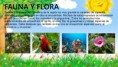 /album/costumbres-y-tradiciones-del-quindio/regiones-naturales-de-colombia-12-638-jpg/